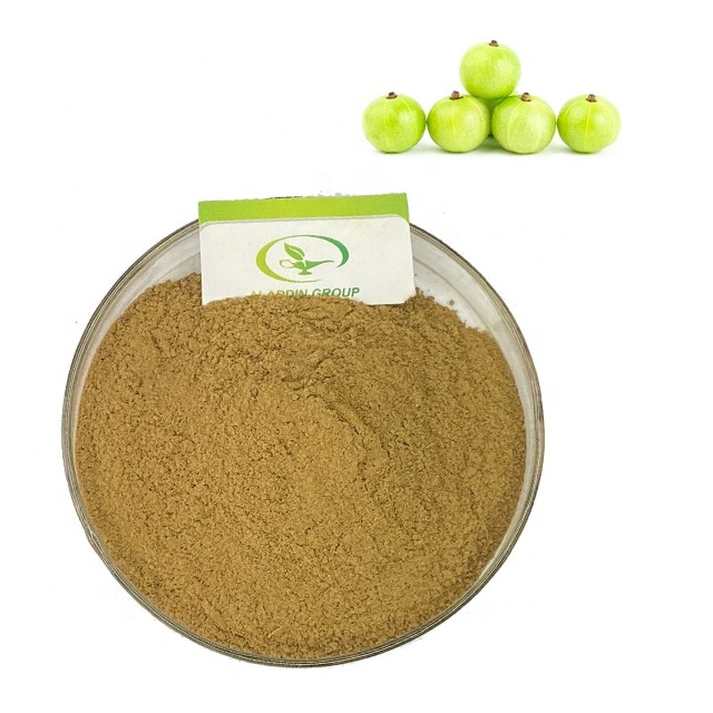 Amla Berry Extract - Manufacturer GMP Phyllanthus Emblica Pure Powder