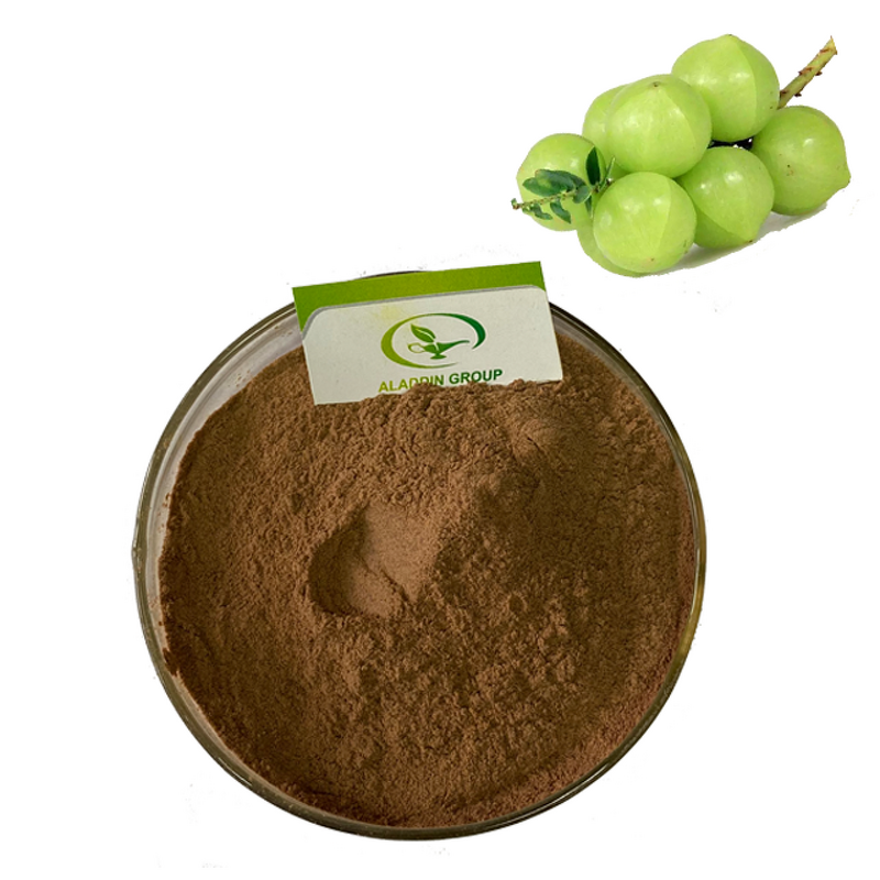 Phyllanthus Emblica Extract - Manufacturer HALAL GMP Customized Packaging