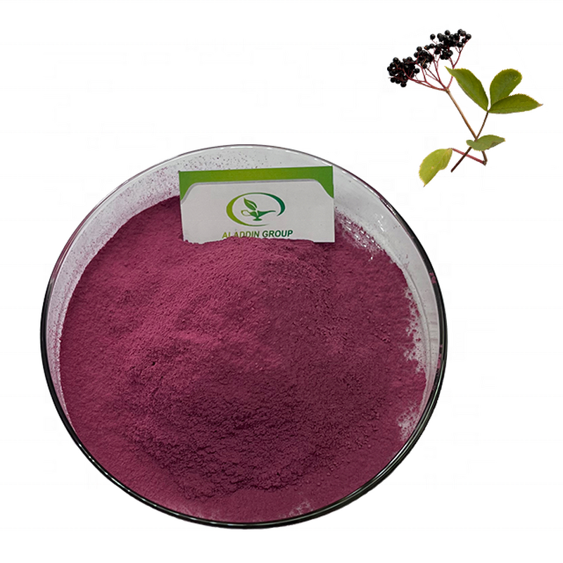 Elderberry Juice Powder - Manufacturer GMP Spray Dried Natural Fruit Powder
