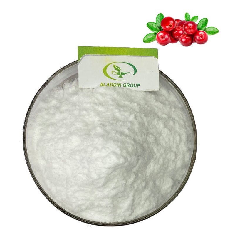 Bearberry Extract - Manufacturer HALAL 99% Arbutin Pure Natural Extract