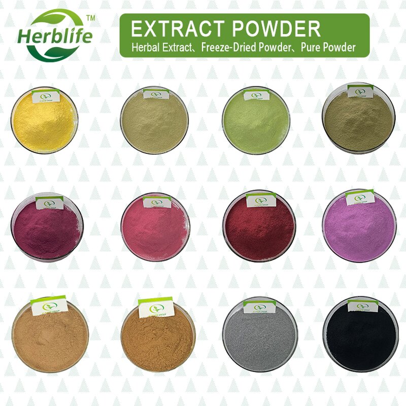 Acerola Cherry Powder - Manufacturer HALAL Pure Cherry Extract Powder