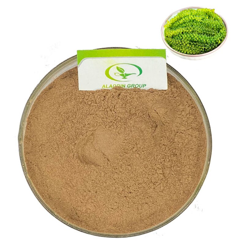 Sea Grape Powder - Manufacturer HALAL Caulerpa Lentillifera Pure Powder