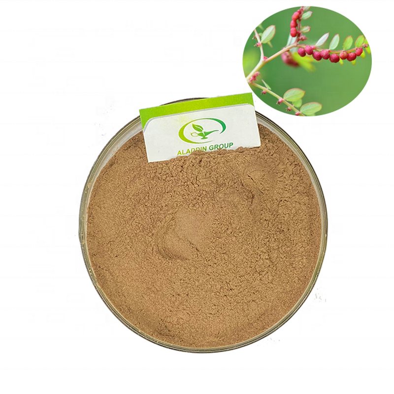 Phyllanthus Amarus Extract - Manufacturer Haccp Food Grade Phyllanthus Niruri