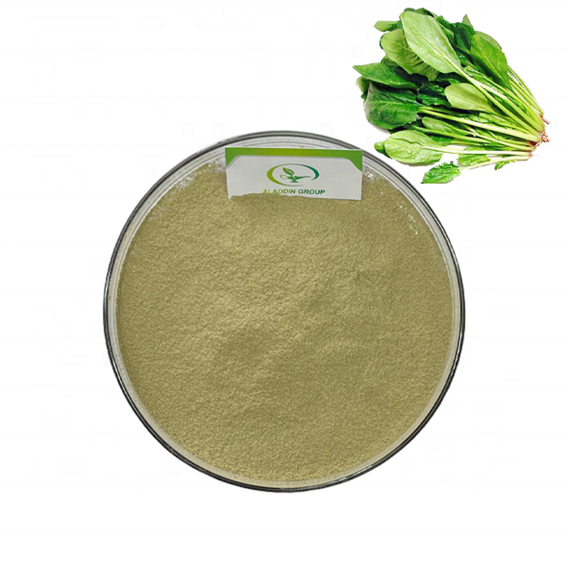 Spinach Juice Powder - Manufacturer Haccp Food Grade Pure Spinach Extract