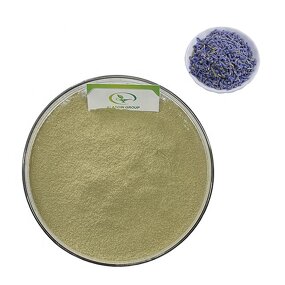 Lavender Extract - Manufacturer GMP High Quality Pure Lavender Powder
