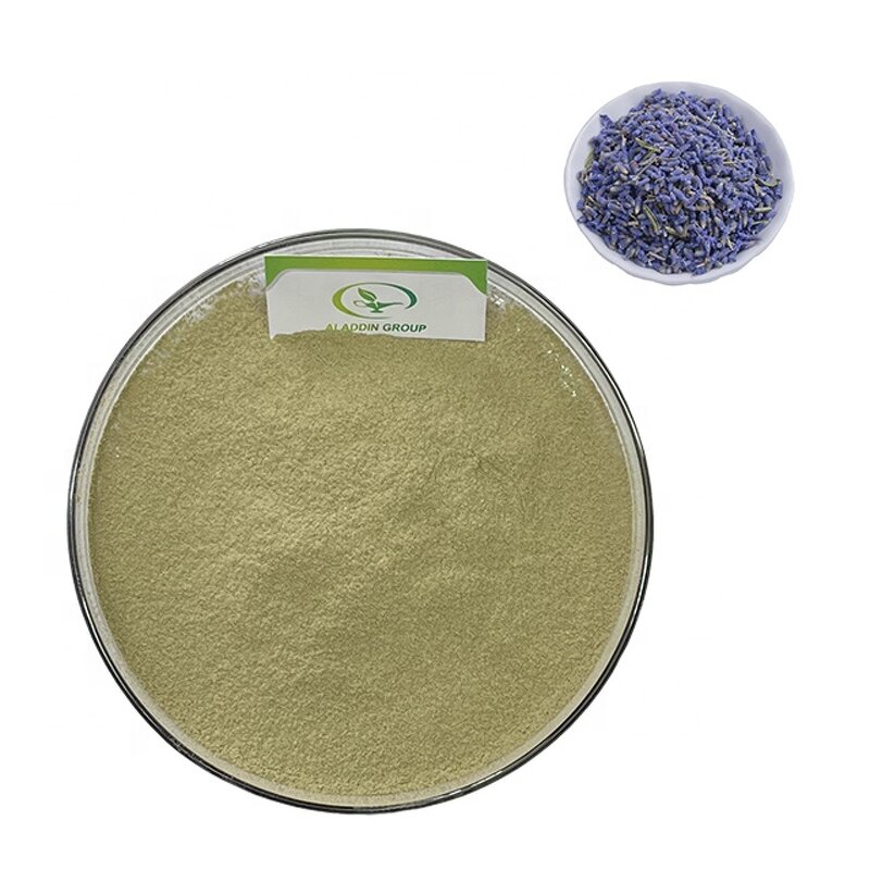 Lavender Extract - Manufacturer GMP High Quality Pure Lavender Powder