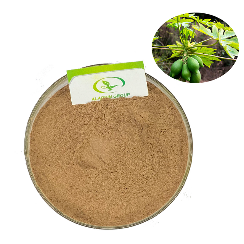 Papaya Extract Powder - Manufacturer HALAL Papain Food Cosmetic Soluble