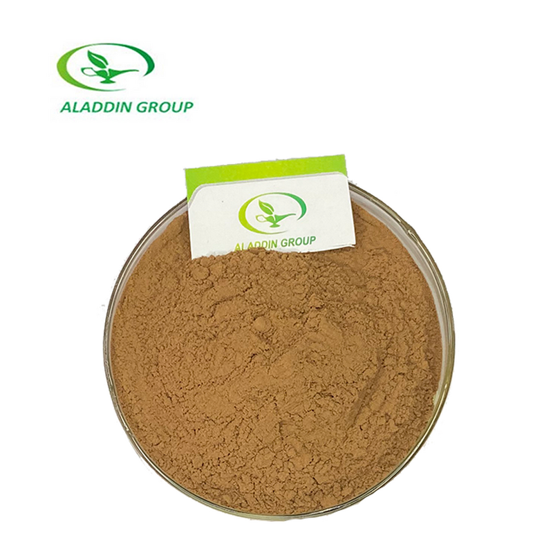 Guarana Extract Powder - Manufacturer HALAL Food Grade Energy Drink Pure