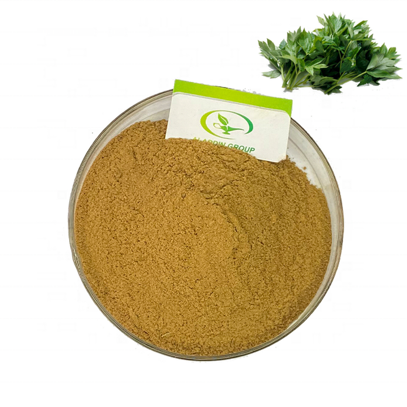 Ashitaba Extract - Manufacturer Haccp Food Grade Free Sample Angelica Keiskei