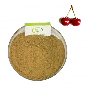 Tart Cherry Extract - Manufacturer GMP Hot Sale Sour Cherry Pure Powder