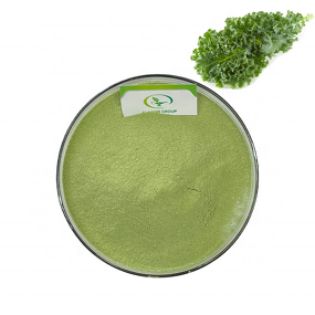 Kale Juice Powder - Manufacturer Haccp Food Grade Free Sample Freeze Dried