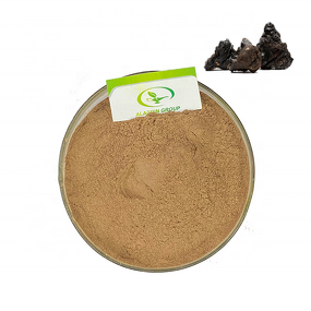 Shilajit Extract - Manufacturer Haccp Food Grade Fulvic Acid Asphaltum