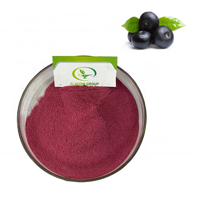 Acai Berry Juice Powder - Manufacturer GMP Freeze Dried Pure Natural Powder