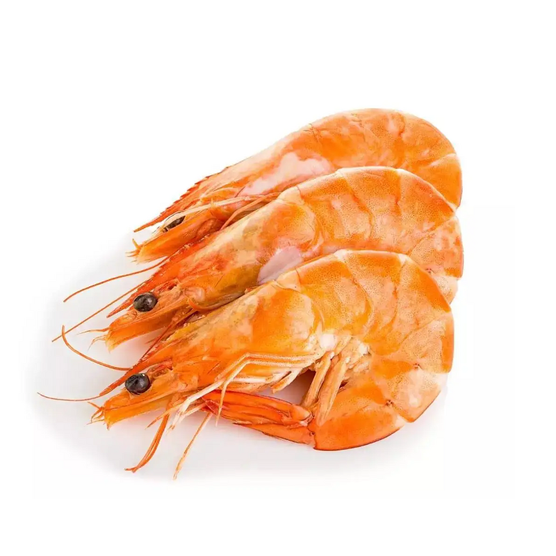 Shrimp Extract Powder - Manufacturer Kosher Top Quality Pure Shrimp Powder