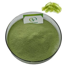 Sea Grape Powder - Manufacturer HALAL Caulerpa Lentillifera Pure Powder