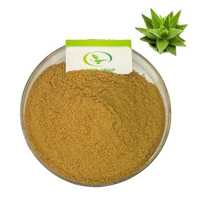 Aloe Vera Extract Powder - Manufacturer HALAL Pure Aloe Extract Natural Powder