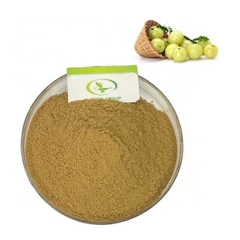Amla Berry Extract - Manufacturer GMP Phyllanthus Emblica Pure Powder