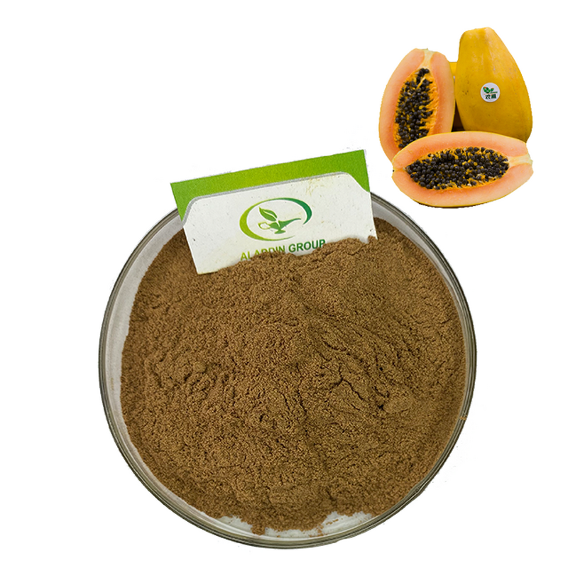 Papaya Extract Powder - Manufacturer HALAL Papain Food Cosmetic Soluble