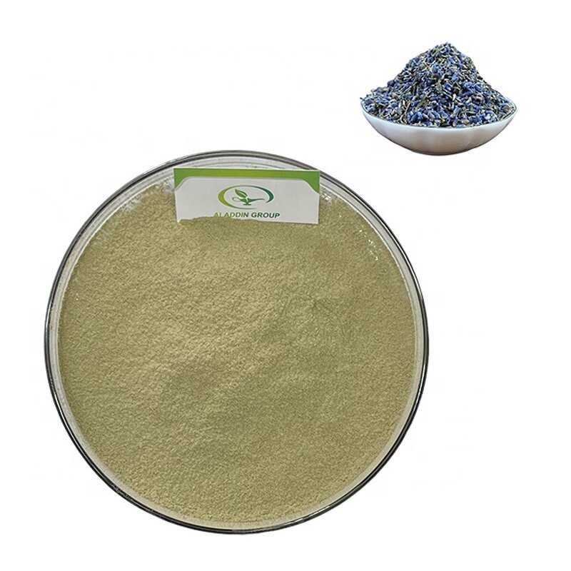 Lavender Extract - Manufacturer GMP High Quality Pure Lavender Powder