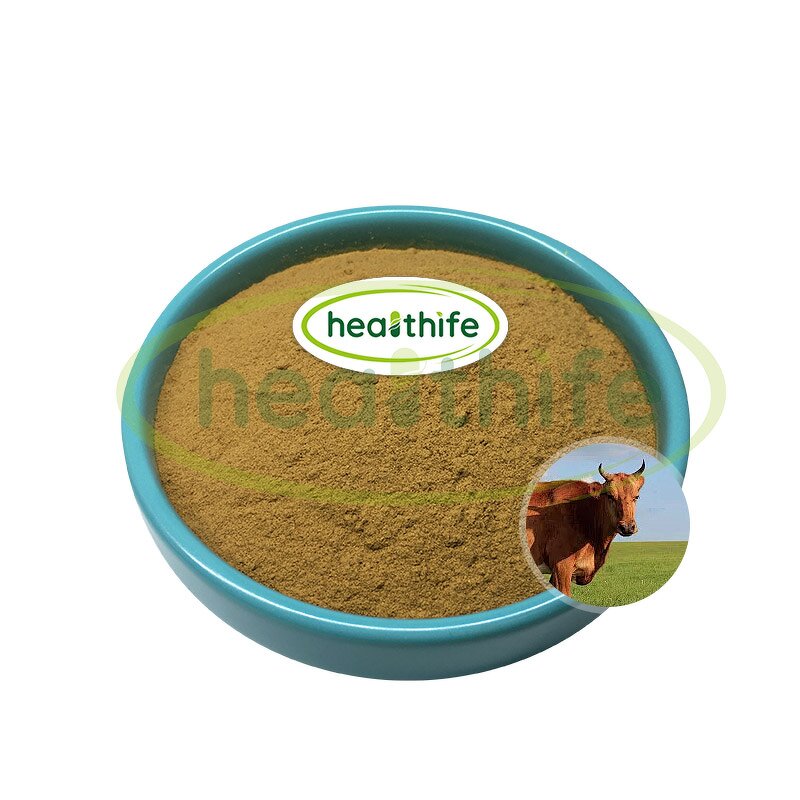 Bovine Pancreas Powder Manufacturer - Healthife New Zealand Beef Grass Fed