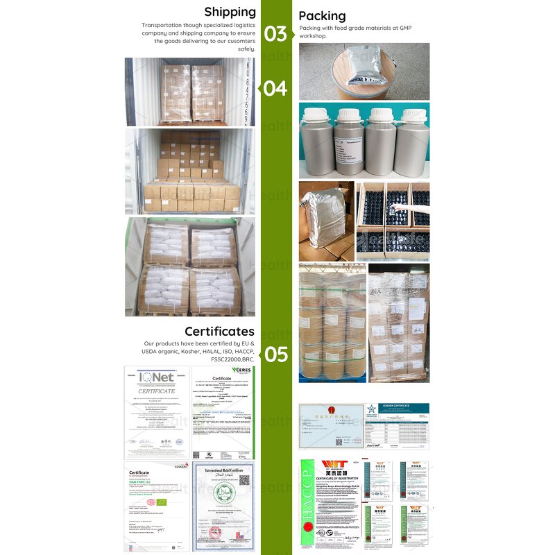 Siberian Ginseng Extract Powder Manufacturer - Natural Chinese Herb 0.8% Eleutherosides