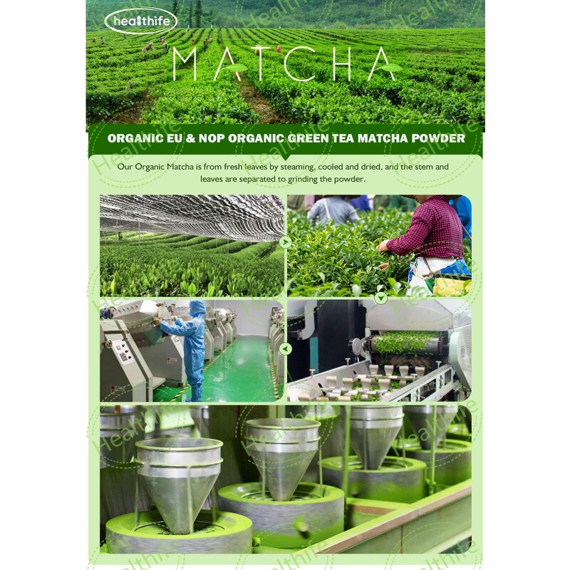 Matcha Powder Manufacturer - Custom Brand Chinese Samples 264.6g/box for Coffee