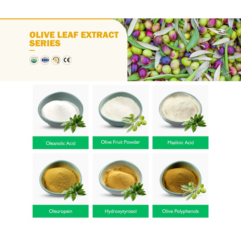 Olive Leaf Extract Powder Manufacturer - Healthfie Wholesale Price 10% 20% 40% Oleuropein