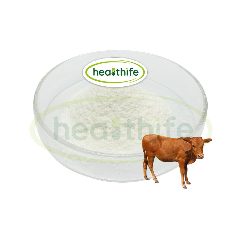 Beef Bone Marrow Powder Manufacturer - Healthife Factory Outlet New Zealand Grass Fed