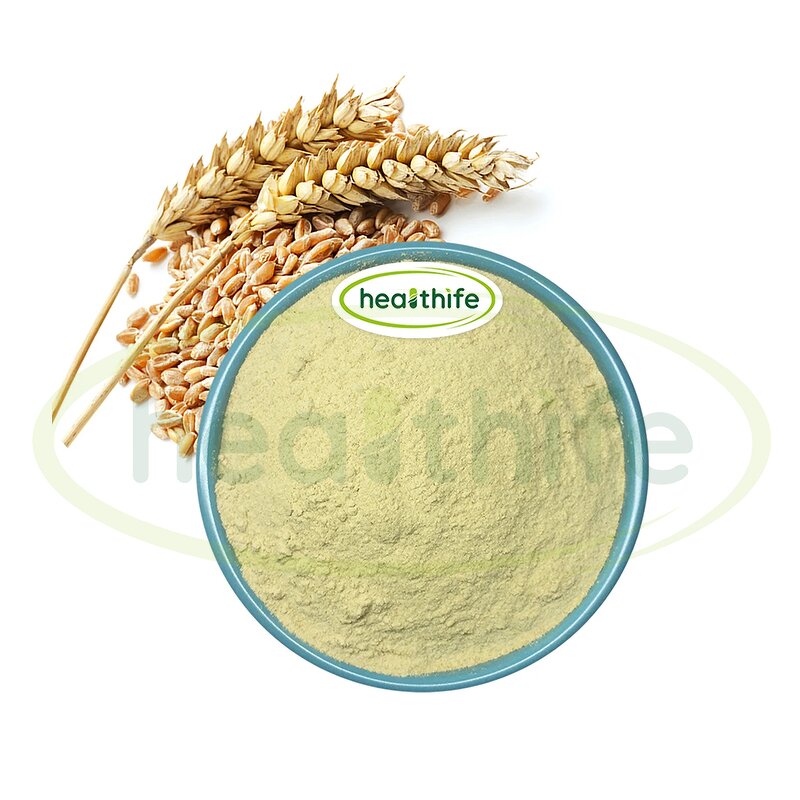 Wheat Germ Extract Powder Manufacturer - 1% Spermidine CAS 124-20-9