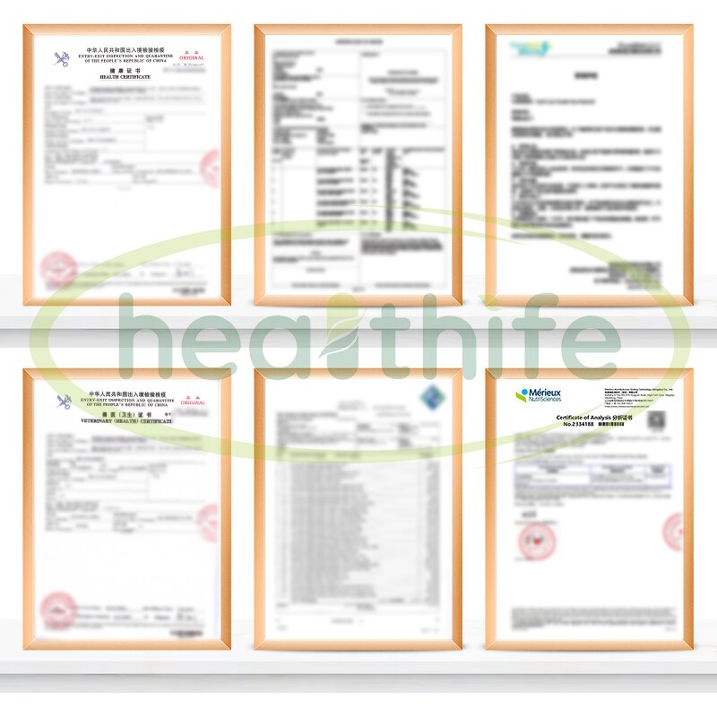 Bovine Prostate Powder Manufacturer - Healthife Floor Price