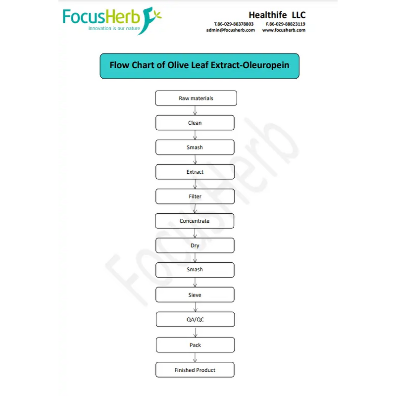 Olive Leaf Extract Powder Manufacturer - Healthfie Wholesale Price 10% 20% 40% Oleuropein