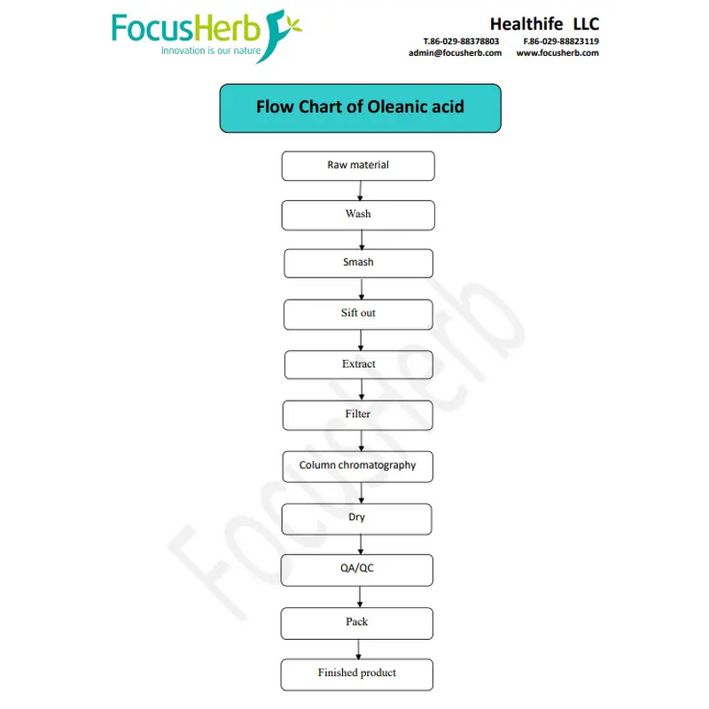 Oleanolic Acid Powder Manufacturer - Healthife Natural Olive Leaf Extract 60% 70% 98%