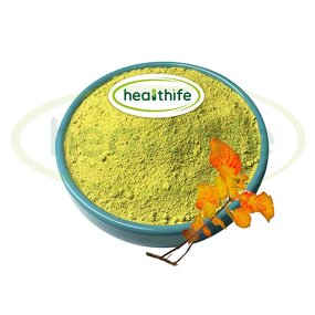 Fisetin Powder Manufacturer - Supply Bulk High Quality 85% 98% from Smoke Tree