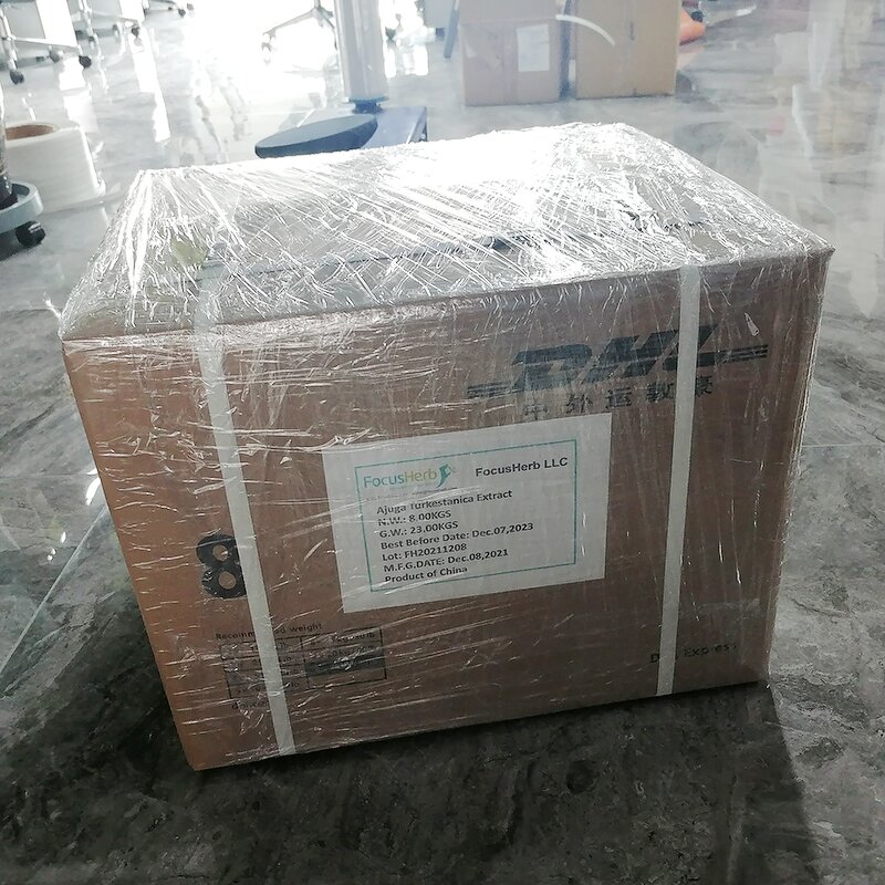 Turkesterone Capsules Manufacturer - Plant Extract Ajuga Turkestanica Powder 10% 500mg/60caps