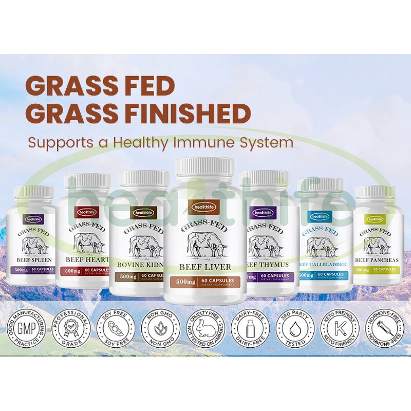 Vitamin B Complex Capsules Manufacturer - Healthife Energy Support with Vitamin C & Folic Acid