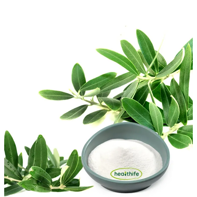 Oleanolic Acid Powder Manufacturer - Healthife Natural Olive Leaf Extract 60% 70% 98%