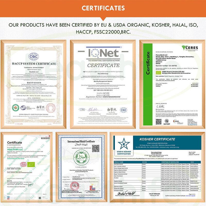 Hydrolyzed Collagen Peptides Powder Manufacturer - Healthife OEM Multi Protein