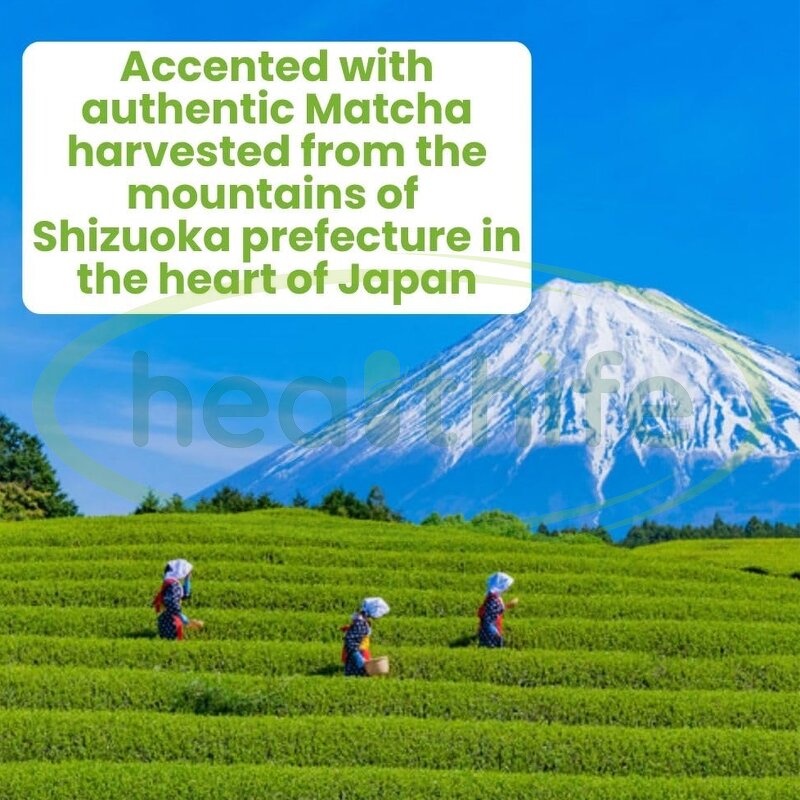 Matcha Powder Manufacturer - Japan Ceremonial Grade with Collagen Green Tea