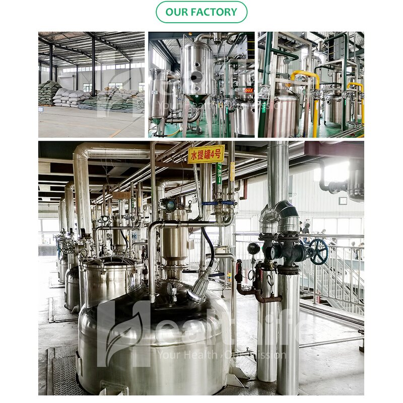 Monk Fruit Sweetener Manufacturer - Private Label Mogroside V Extract & Erythritol