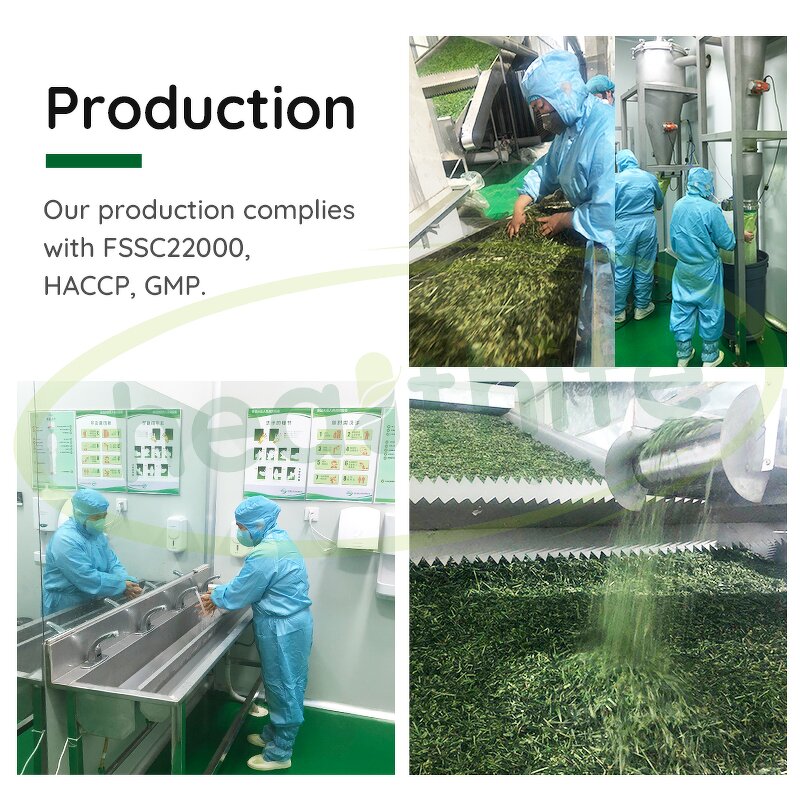 Matcha Powder Manufacturer - High Quality 5A Grade Japanese Organic Green Tea