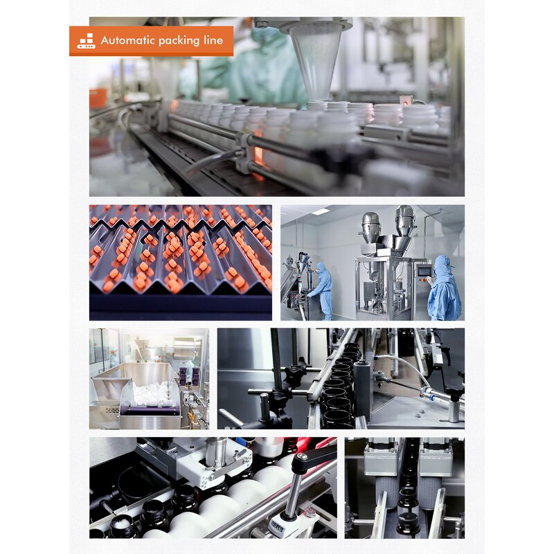 Ecdysterone Capsules Manufacturer - Healthife 95% Beta Ecdysterone Powder 500mg