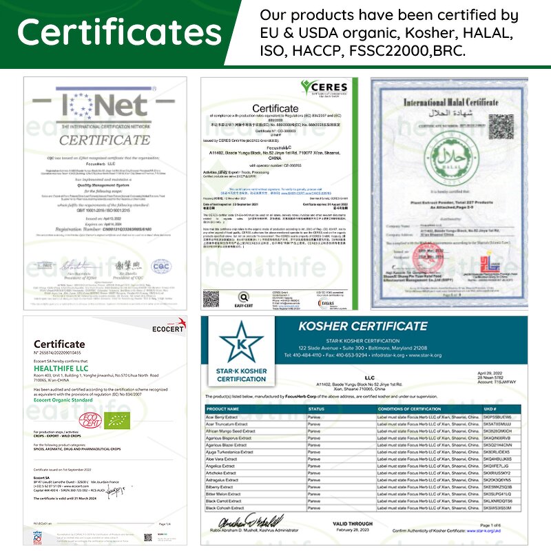 Super Greens Powder Manufacturer - OEM Organic Spirulina Chlorella Wheatgrass Kale Blend