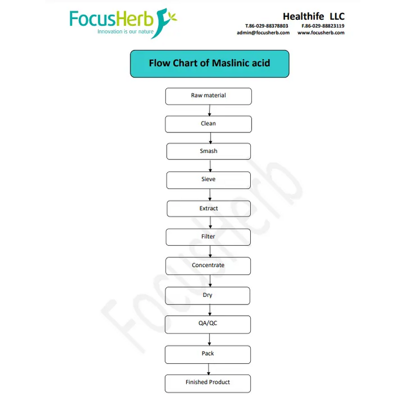 Olive Leaves Extract Manufacturer - Healthife Factory Wholesale 10% 20% 30% Maslinic Acid