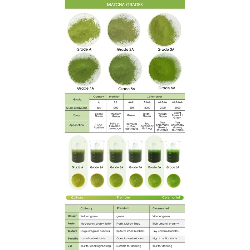 Matcha Green Tea Powder Manufacturer - Supplier Wholesale High Quality Ceremonial Grade Organic