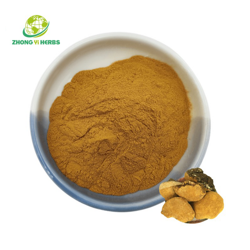 Phellinus Linteus Powder - Manufacturer Polysaccharides Mushroom Extract