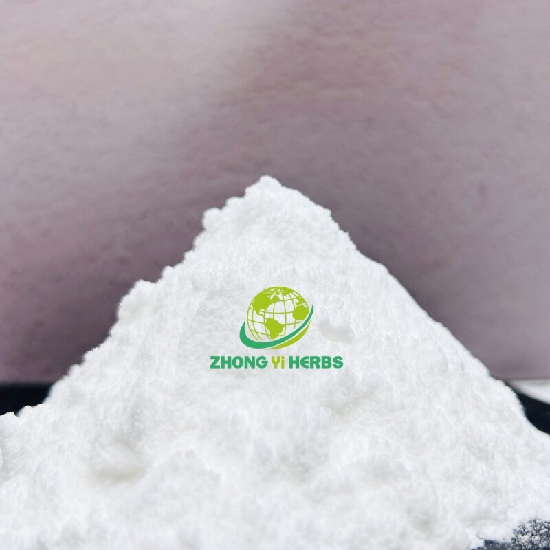 Chitin Powder - Manufacturer Wholesale CAS 9012-76-4 Chitosan Powder