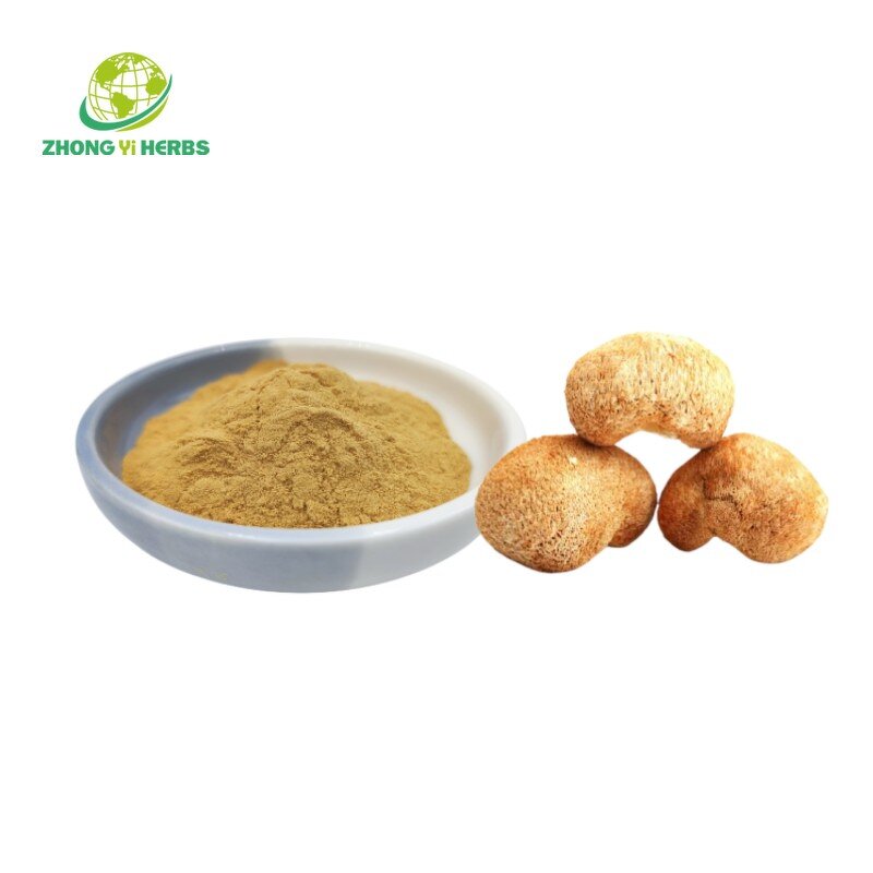 Lions Mane Powder - Manufacturer Organic Hericium Erinaceus Polysaccharide