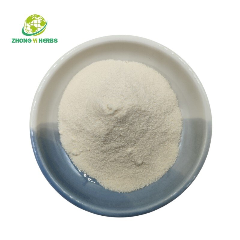 Chickpea Protein Powder - Manufacturer Food Grade Pure Protein Powder