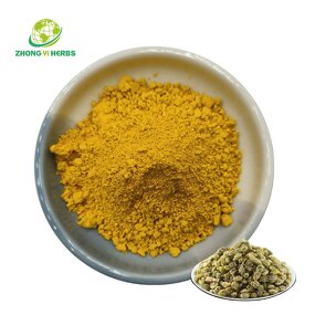 Tanshinone Extract - Manufacturer 10% 20% 60% Tanshinone 2A Salvia
