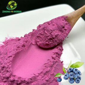 Blueberry Powder - Manufacturer Natural Water Soluble Blueberry Juice Powder